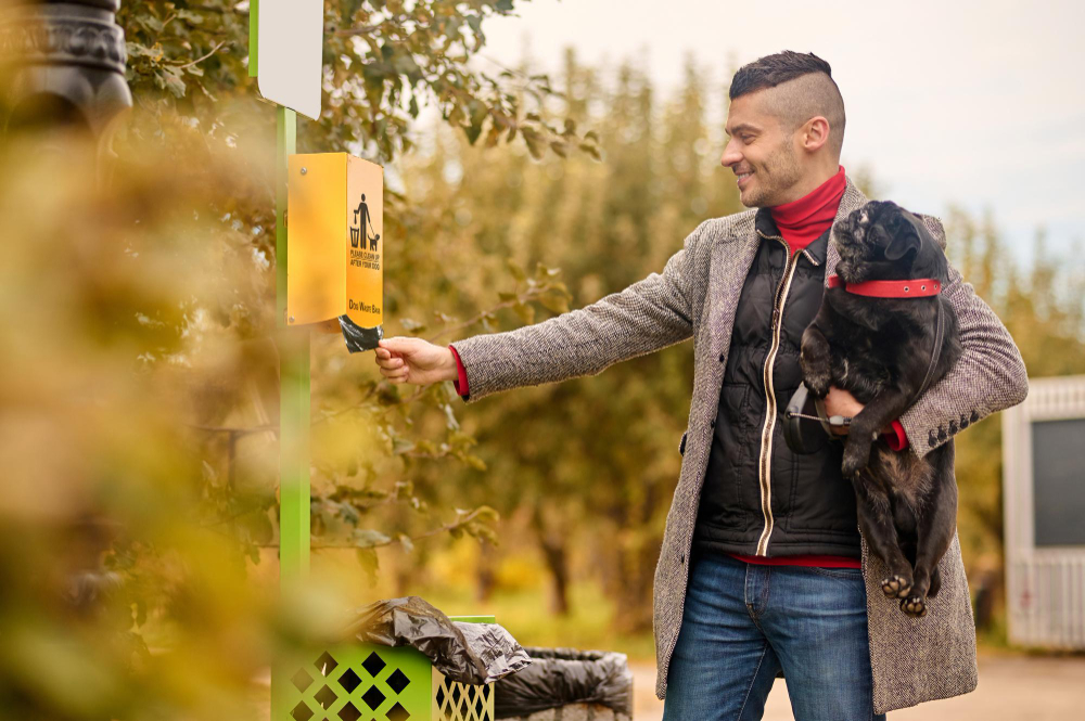 Setting Up a Proper Feeding Station for Your Dog