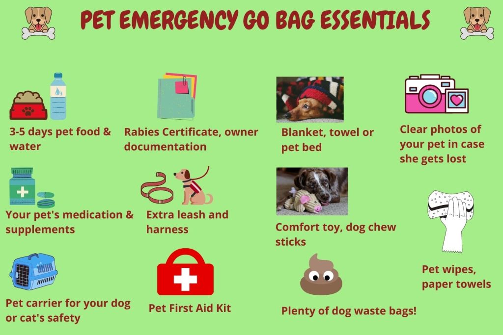 Dog Disaster Emergency
