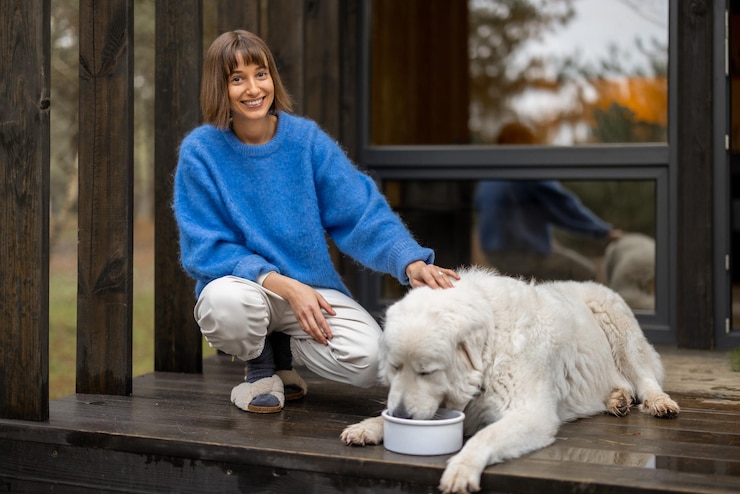 dog care