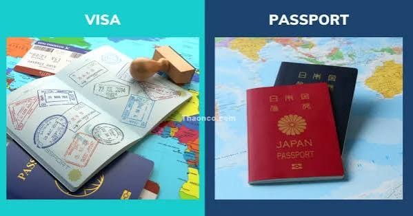 Why a Visa Photo Editor Matters More for the DS-160 Than You’d Think